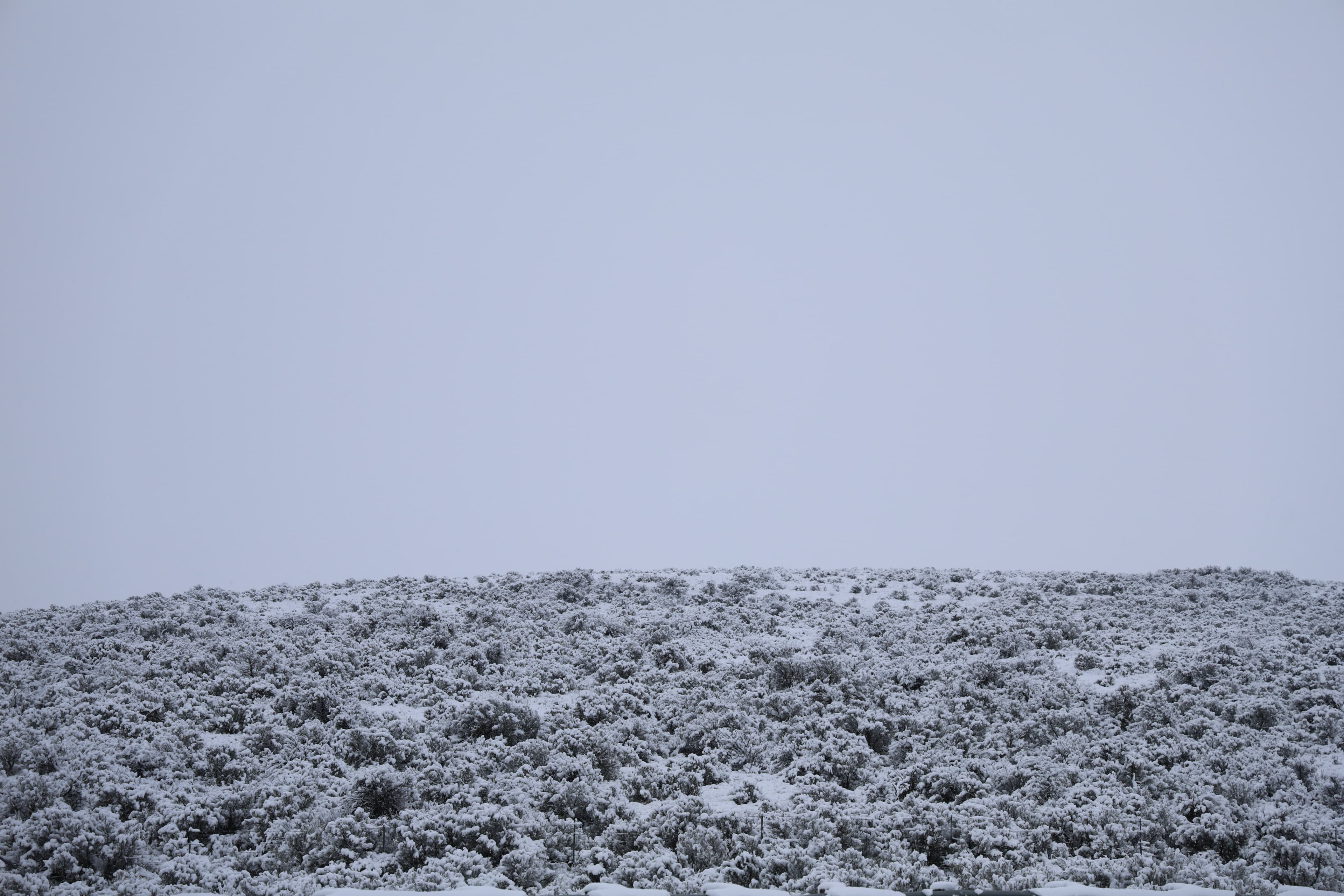 Montana landscape